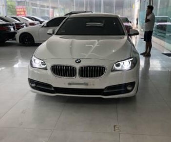 BMW 5 Series  520i 2015 - Bán BMW 5 Series 520i 2016, màu trắng, xe nhập