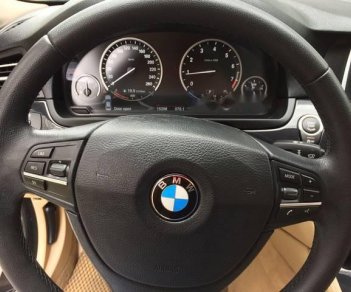 BMW 5 Series  520i 2015 - Bán xe BMW 5 Series 520i sản xuất năm 2015, màu đen 