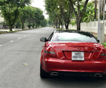 Mercedes-Benz SLK class SLK350  2008 - Cần bán xe Mercedes-Benz SLK class sản xuất 2008 màu đỏ, giá tốt