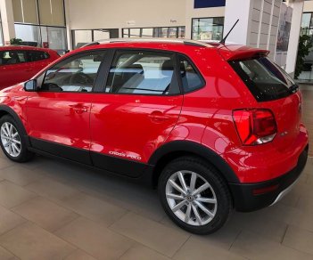 Volkswagen Polo   2018 - Cần bán xe Volkswagen Polo năm 2018, màu đỏ 