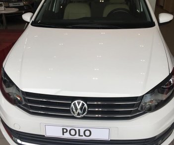 Volkswagen Polo 2018 - Bán ô tô Volkswagen Polo đời 2018, màu trắng, xe nhập, giá 699tr, liên hệ: 0931.618.658