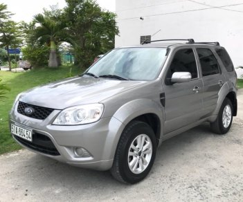 Ford Escape 2.3XLS 2013 - Cần bán Ford Escape 2.3XLS năm 2013, màu xám (ghi), một chủ mua mới