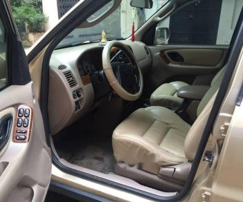 Ford Escape    2004 - Bán xe Ford Escape XLT 3.0 đời 2004 màu vàng, xe lắp ráp trong nước, hộp số tự động, máy xăng, dẫn động 2 cầu