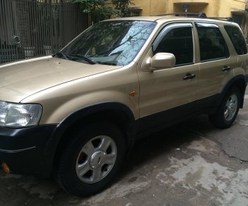 Ford Escape G 2004 - Bán xe Ford Escape XLT 3.0 đời 2004 màu xám vàng