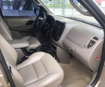 Ford Escape XLT 2003 - Bán ô tô Ford Escape XLT năm sản xuất 2003, màu vàng cát