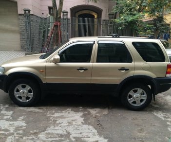 Ford Escape G 2004 - Bán xe Ford Escape XLT 3.0 đời 2004 màu xám vàng