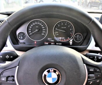 BMW 3 Series 320i 2016 - Bán ô tô BMW 3 Series 320i đời 2016, màu đen, nhập khẩu nguyên chiếc