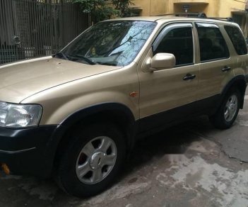 Ford Escape    2004 - Bán xe Ford Escape XLT 3.0 đời 2004 màu vàng, xe lắp ráp trong nước, hộp số tự động, máy xăng, dẫn động 2 cầu