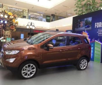 Ford EcoSport Titanium 1.0L 2018 - Bán xe Ford EcoSport Titanium 1.0L sản xuất 2018