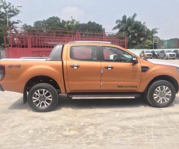 Ford Ranger WT 2.0 (hộp số 10 cấp) Bi-Turbo 4x4 2018 - Bán xe Ford Ranger 2.0 Bi-Turbo 4x4 2018, màu cam, xe nhập, giá chỉ 918 triệu