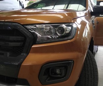 Ford Ranger WT 2.0 (hộp số 10 cấp) Bi-Turbo 4x4 2018 - Bán xe Ford Ranger 2.0 Bi-Turbo 4x4 2018, màu cam, xe nhập, giá chỉ 918 triệu