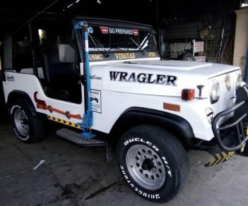 Jeep Wrangler 2002 - Cần bán gấp Jeep Wrangler năm 2002, màu trắng, nhập khẩu