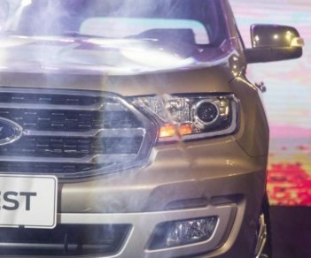 Ford Everest Titanium 2.0L 4x4 AT 2018 - Bán xe Ford Everest Titanium 2.0L 4x4 AT đời 2018, màu xám, xe nhập