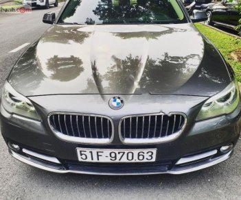 BMW 5 Series 520i 2014 - Bán BMW 5 Series 520i 2014, màu nâu, nhập khẩu