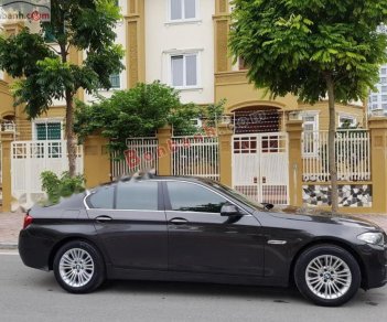 BMW 5 Series 520i 2015 - Bán ô tô BMW 5 Series 520i đời 2015, màu đen, xe nhập