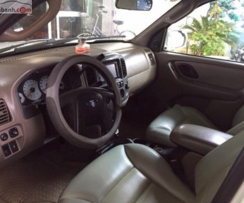 Ford Escape 2.3 AT 2006 - Bán xe cũ Ford Escape 2.3 AT 2006, màu trắng  
