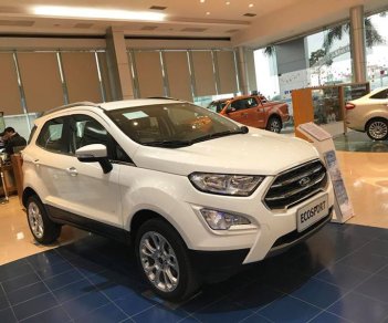 Ford EcoSport Titanium 2018 - Khuyến mãi khủng tháng 10 tặng ngay BHVC, camera hành trình, phim 3M khi mua Ecosport 2018. LH: 096.147.1536 - Em Hòa