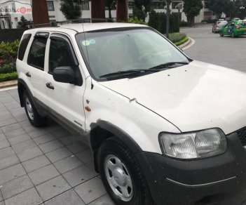 Ford Escape XLT AT 2003 - Xe Ford Escape XLT AT năm 2003, màu trắng