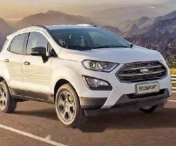 Ford EcoSport  Titanium AT 2018 - Bán Ford EcoSport năm sản xuất 2018, màu trắng giá tốt