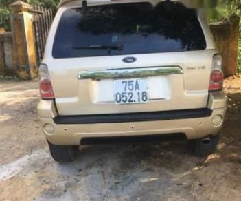 Ford Escape 2005 - Cần bán Ford Escape đời 2005, màu vàng, xe mới tinh