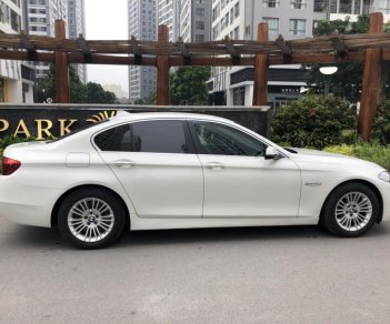 BMW 5 Series 520i 2015 - Cần bán xe BMW 5 Series sản xuất 2015 màu trắng