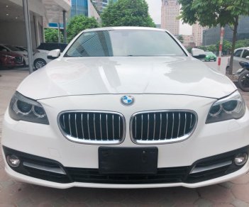 BMW 5 Series 520i 2014 - Cần bán lại xe BMW 5 Series 520i đời 2015, màu trắng, xe nhập xe gia đình