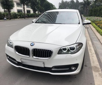 BMW 5 Series 520i 2015 - Cần bán xe BMW 5 Series sản xuất 2015 màu trắng