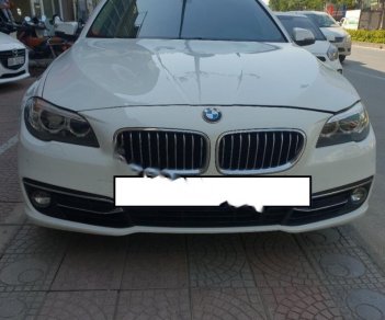 BMW 5 Series 520i 2014 - Bán ô tô BMW 5 Series 520i năm 2014, màu trắng số tự động