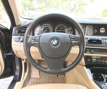 BMW 5 Series 520i 2015 - Bán BMW 520i đen, nội thất kem 2015