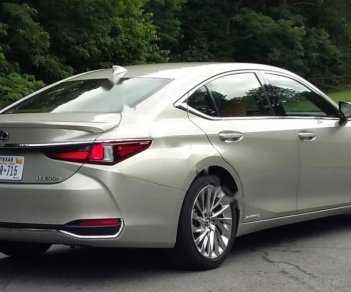 Lexus ES 250 2018 - Bán ô tô Lexus ES 250 sản xuất năm 2018, màu vàng, xe nhập