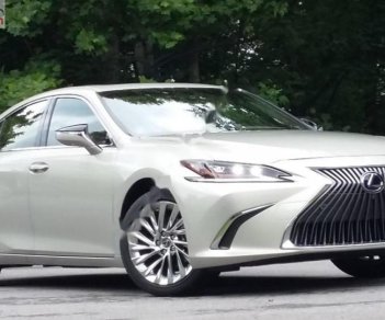 Lexus ES 250 2018 - Bán ô tô Lexus ES 250 sản xuất năm 2018, màu vàng, xe nhập