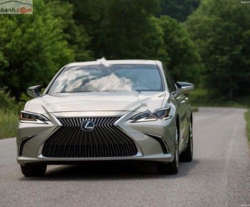 Lexus ES 250 2018 - Bán ô tô Lexus ES 250 sản xuất năm 2018, màu vàng, xe nhập