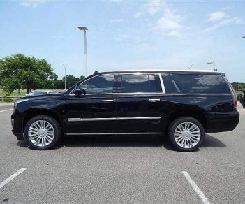 Cadillac Escalade ESV Platinum 2018 - Bán Cadillac Escalade ESV Platinum Model 2019, màu đen, nhập Mỹ