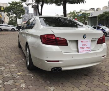 BMW 5 Series 520i  2015 - Bán ô tô BMW 5 Series 520i sản xuất năm 2015