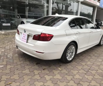 BMW 5 Series 520i  2015 - Bán ô tô BMW 5 Series 520i sản xuất năm 2015