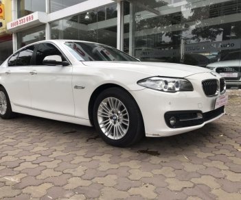 BMW 5 Series 520i  2015 - Bán ô tô BMW 5 Series 520i sản xuất năm 2015