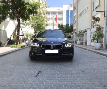 BMW 5 Series 520i 2015 - Bán BMW 5 Series 520i sản xuất 2015, màu đen, nhập khẩu