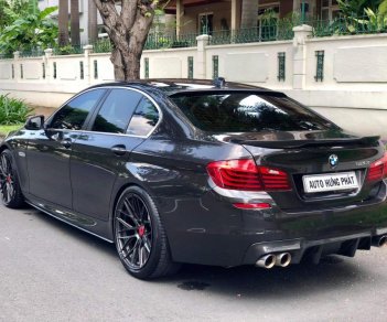 BMW 5 Series 520i  2016 - Bán BMW 5 Series 520i sản xuất 2016, màu nâu, nhập khẩu nguyên chiếc