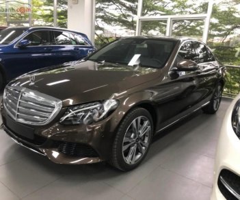 Mercedes-Benz C class C250 2018 - Cần bán Mercedes C250 đời 2018, màu nâu