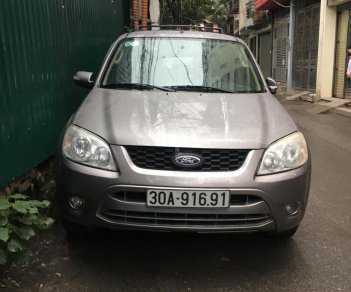 Ford Escape 2010 - Bán Ford Escape, xe chính chủ, mua về chỉ việc đổ xăng và đi