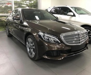 Mercedes-Benz C class C250 2018 - Cần bán Mercedes C250 đời 2018, màu nâu