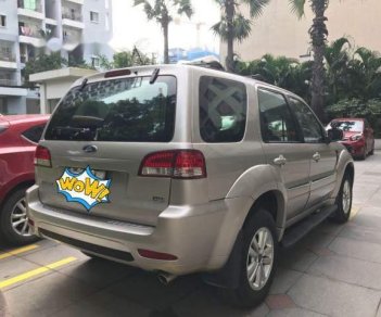 Ford Escape   XLS  2009 - Cần bán xe Ford Escape XLS đời 2009 chính chủ, 380 triệu