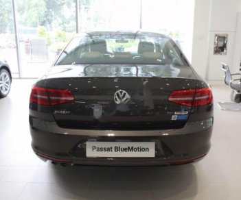 Volkswagen Passat 1.8 Bluemotion 2017 - Bán Volkswagen Passat 1.8 Bluemotion 2017, màu xám, nhập khẩu