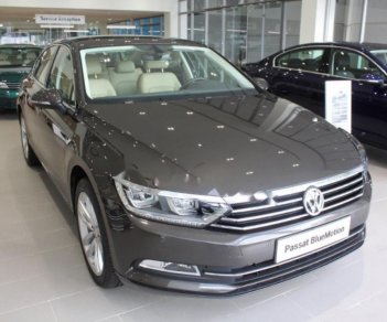 Volkswagen Passat 1.8 Bluemotion 2017 - Bán Volkswagen Passat 1.8 Bluemotion 2017, màu xám, nhập khẩu