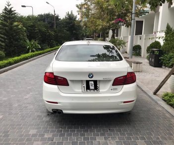 BMW 5 Series 520i 2014 - Cần bán xe BMW 5 Series 520i sản xuất 2014, màu trắng, nhập khẩu