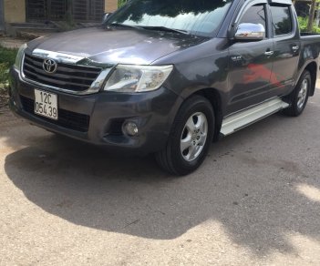 Toyota Hilux E 2011 - Cần bán xe Toyota Hilux E sản xuất 2011, màu xám (ghi), nhập khẩu