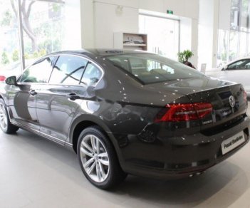 Volkswagen Passat 1.8 Bluemotion 2017 - Bán Volkswagen Passat 1.8 Bluemotion 2017, màu xám, nhập khẩu