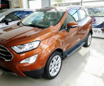 Ford EcoSport Titanium 1.0 EcoBoost 2018 - Bán xe Ford EcoSport Titanium 1.0 EcoBoost đời 2018, động cơ EcoBoost