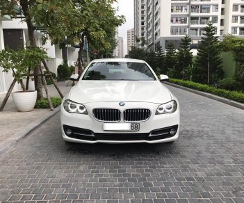 BMW 5 Series 520i 2014 - Cần bán xe BMW 5 Series 520i sản xuất 2014, màu trắng, nhập khẩu