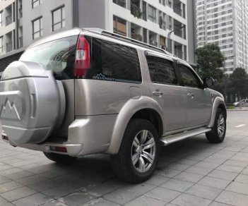 Ford Everest   AT   2010 - Bán Ford Everest Đk 2010, form mới 7 chỗ, màu phấn hồng số tự động, máy dầu